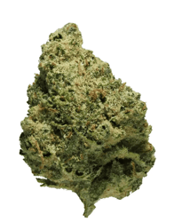 avaay 23/1 CRE Creamy Kee's No.5